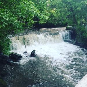 Meet your Posher, Hussein